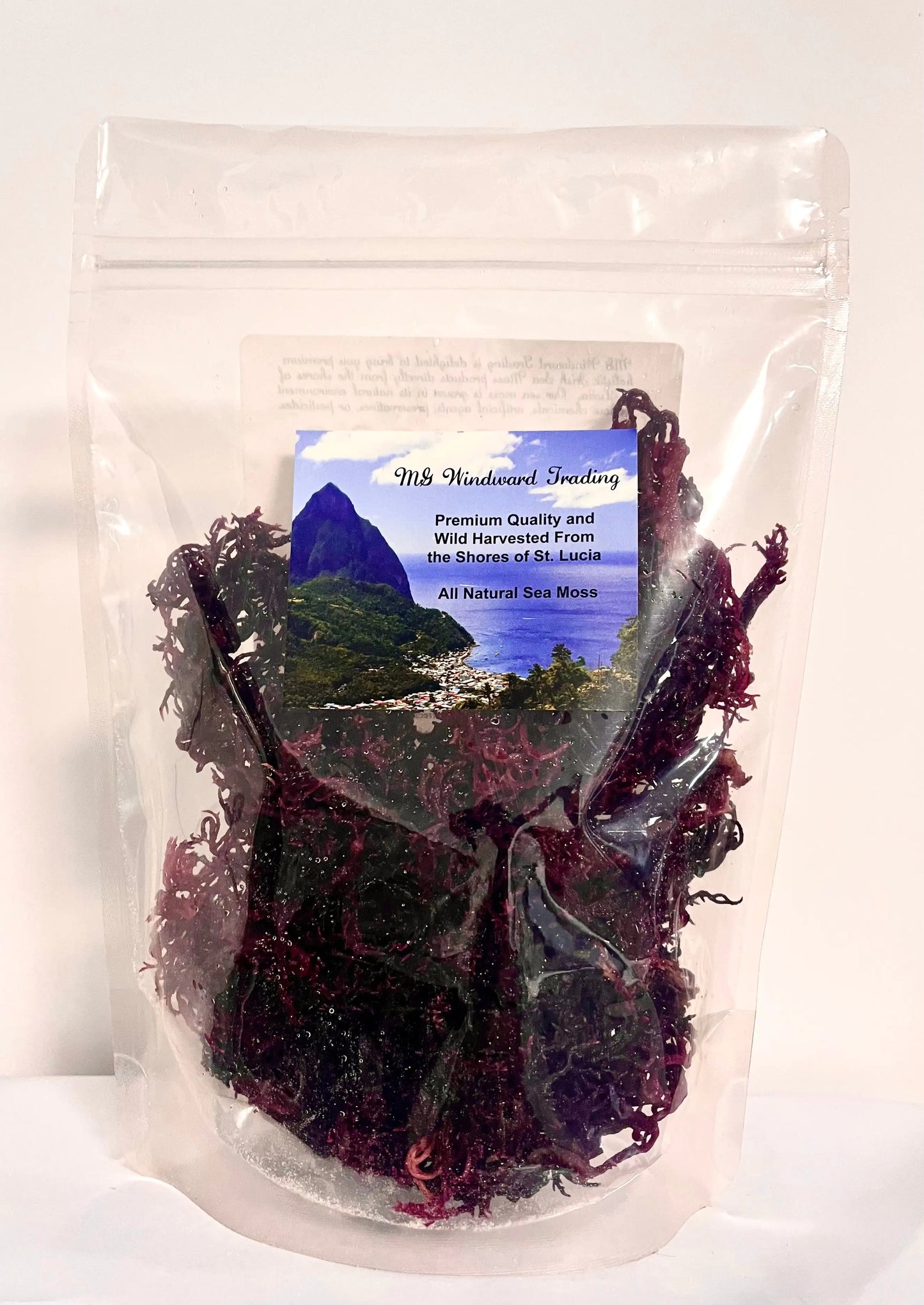 Wild Harvested Certified Raw Sea Moss | Purple, Green, and Full Spectrum