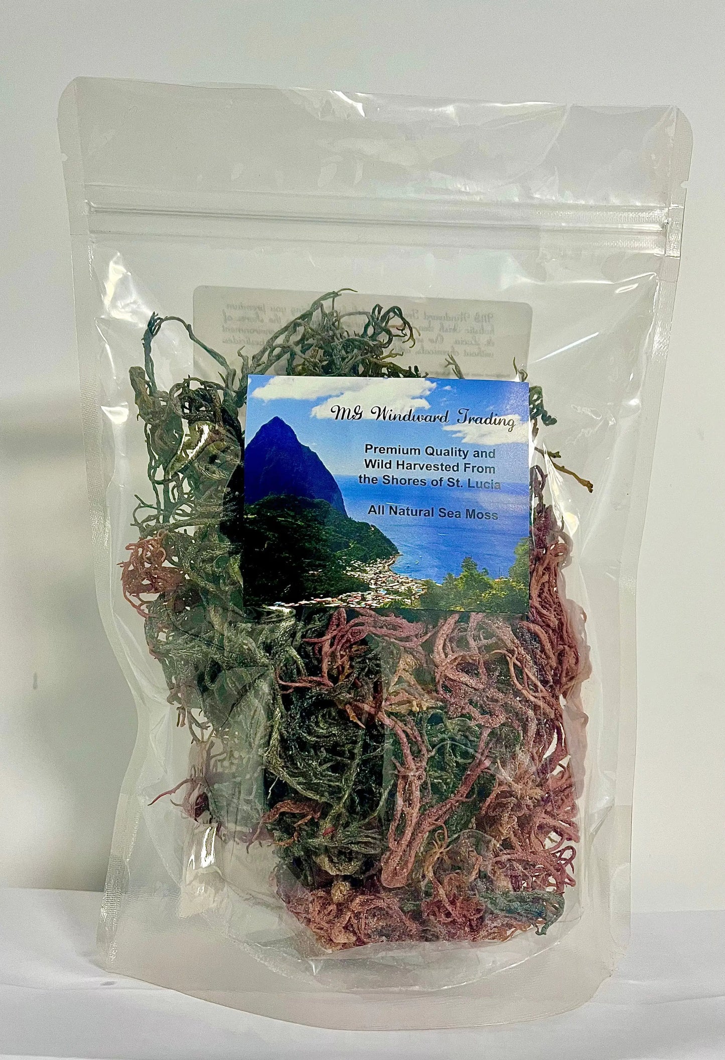 Wild Harvested Certified Raw Sea Moss | Purple, Green, and Full Spectrum