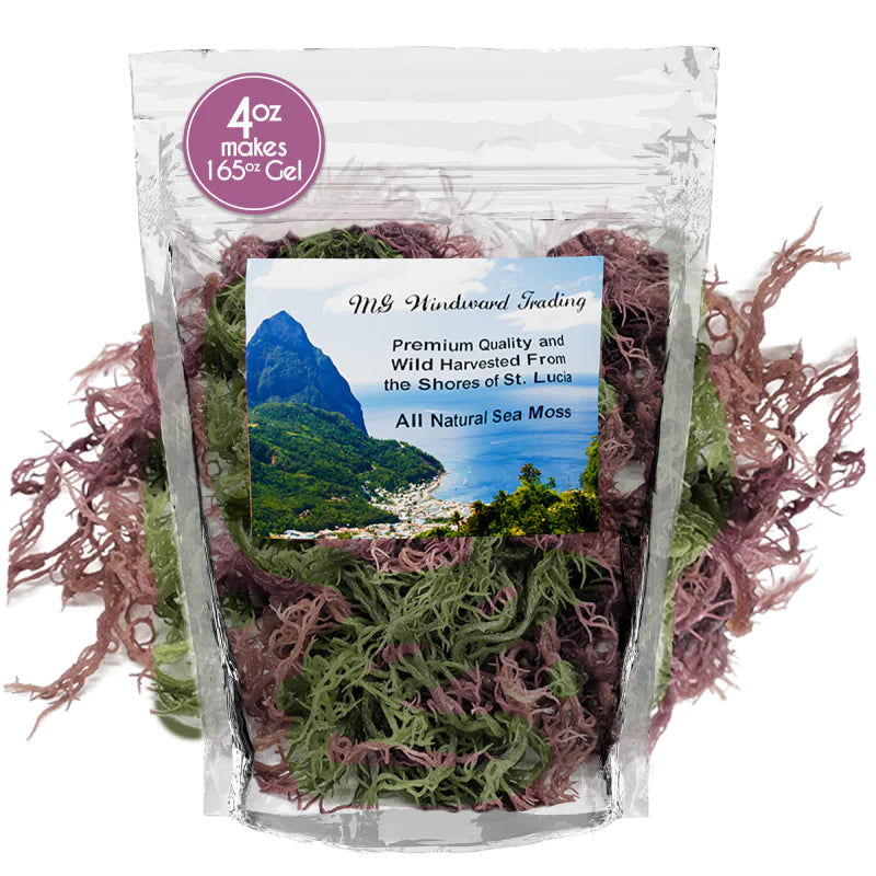 Wild Harvested Certified Raw Sea Moss | Purple, Green, and Full Spectrum