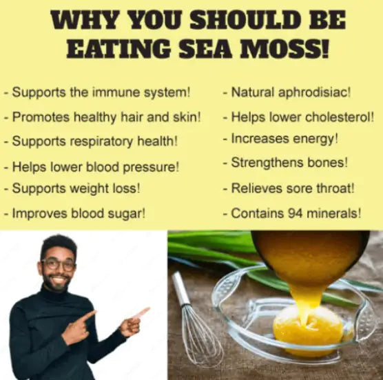 Wild Harvested Certified Raw Sea Moss | Purple, Green, and Full Spectrum