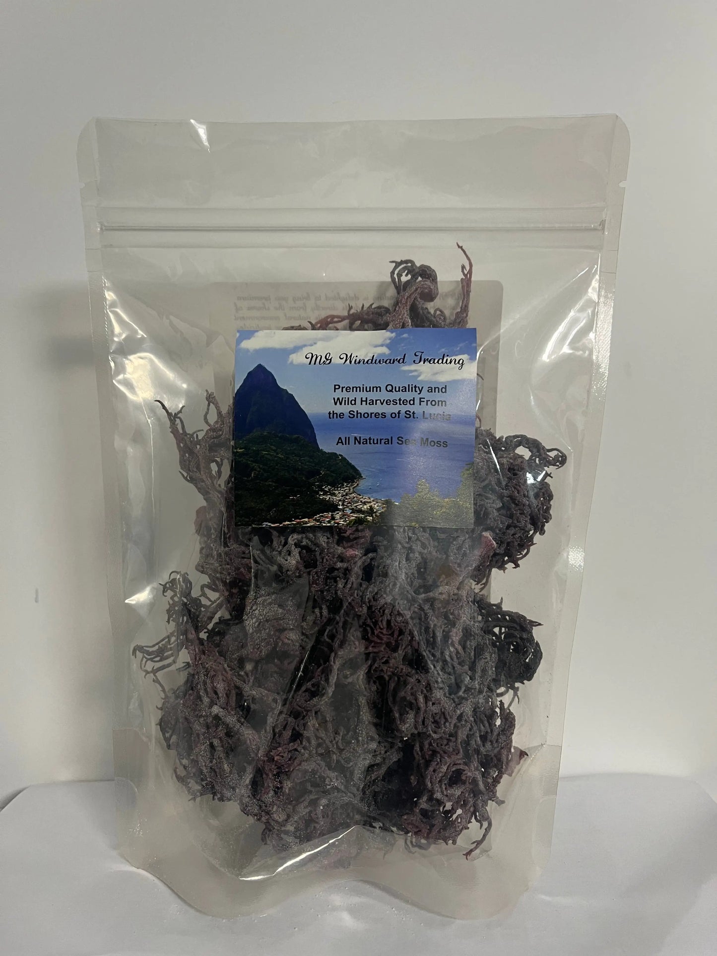 Wild Harvested Certified Raw Sea Moss | Purple, Green, and Full Spectrum