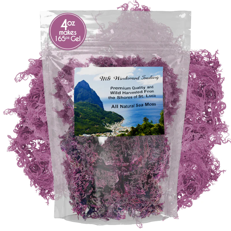 Wild Harvested Certified Raw Sea Moss | Purple, Green, and Full Spectrum