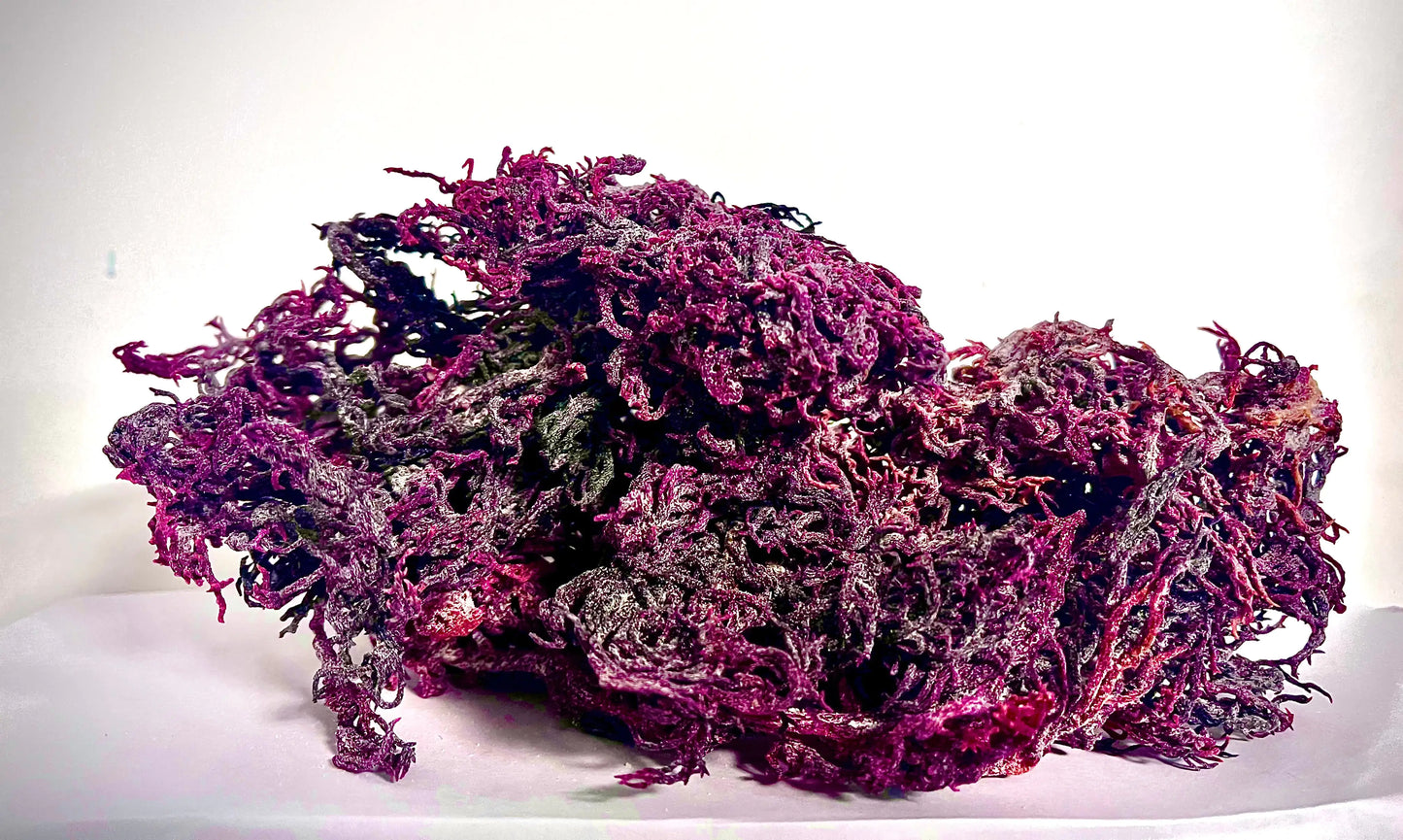 Wild Harvested Certified Raw Sea Moss | Purple, Green, and Full Spectrum
