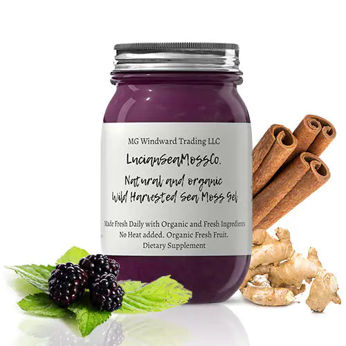 Fresh Elderberry Ginger Cinnamon Infused Sea Moss Gel