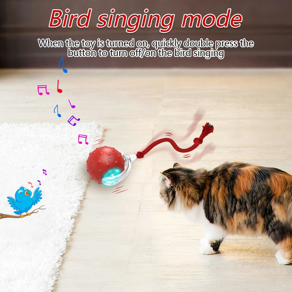 Interactive Cat Toy Ball with Bird Chirping Super Drive Cat Rolling Balls Motion Activated Sensor Pet Kittens Teaser Game Toys