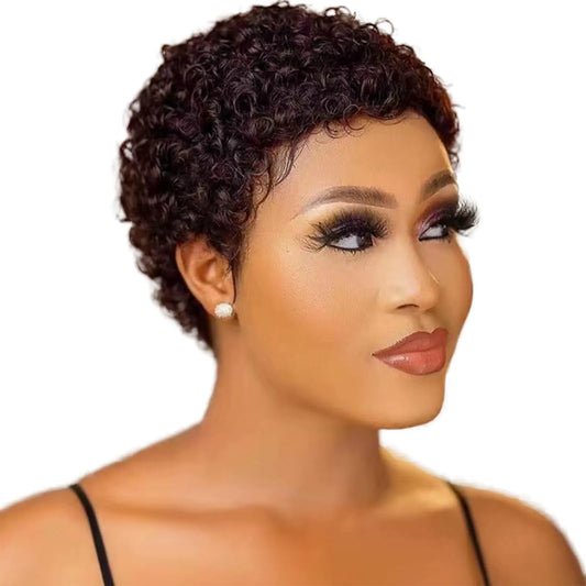 Guree Hair Glueless Wear and Go Wig Short Curly Human Hair Wigs for Black Women Full Machine Made Wigs Glueless Wig Afro Kinky Curly Wigs for Daily Use (33#)