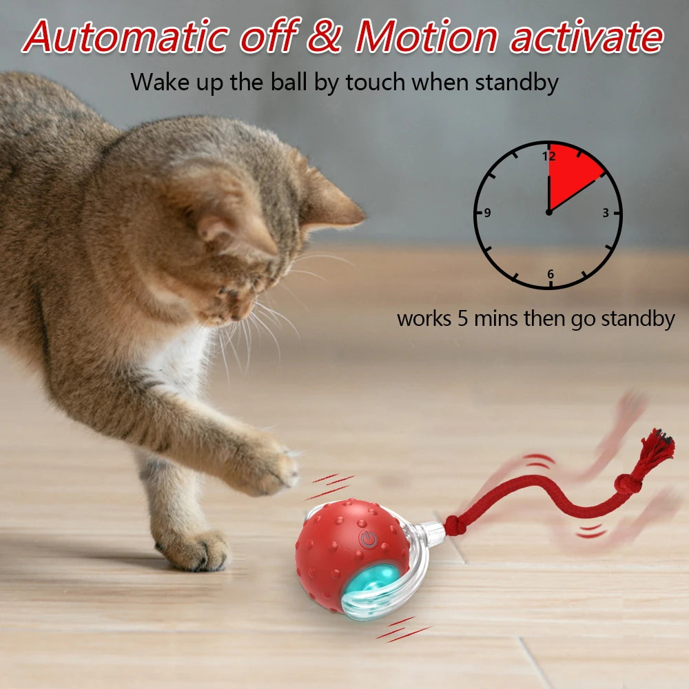 Interactive Cat Toy Ball with Bird Chirping Super Drive Cat Rolling Balls Motion Activated Sensor Pet Kittens Teaser Game Toys