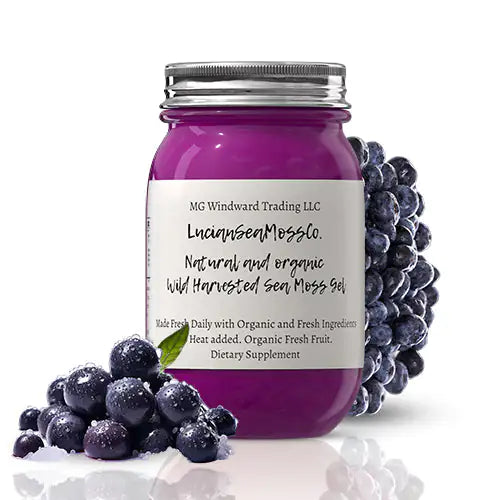 Fresh Organic Blueberry Infused Sea Moss Gel