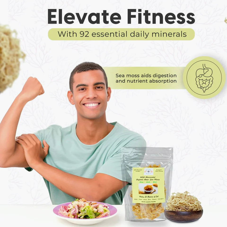 Fresh Organic Strawberry Mojito Infused Sea Moss Gel