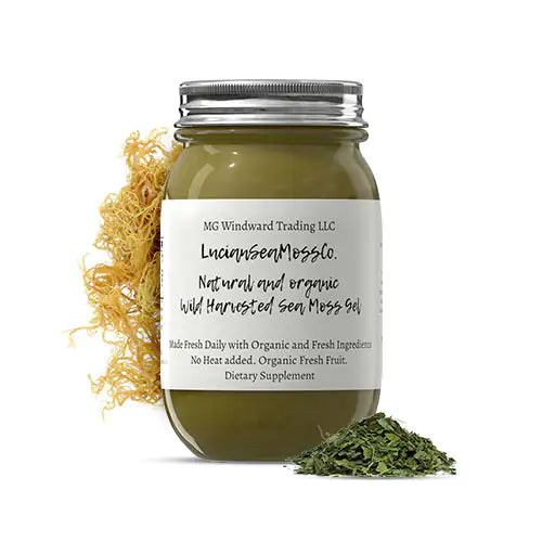 Bladderwrack and Burdock Root Infused Organic Sea Moss Gel