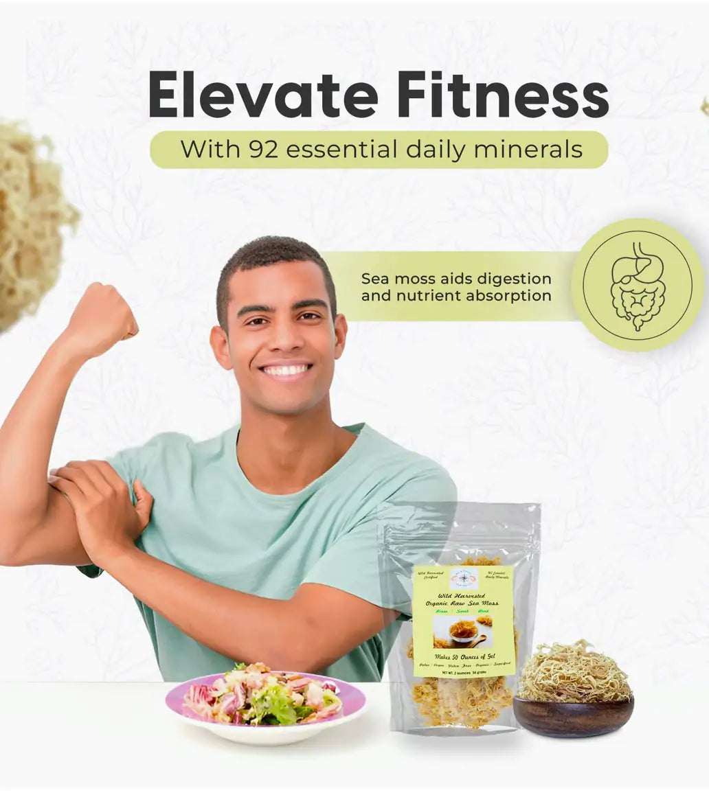 Echinacea Infused Organic Alkaline Sea Moss Gel