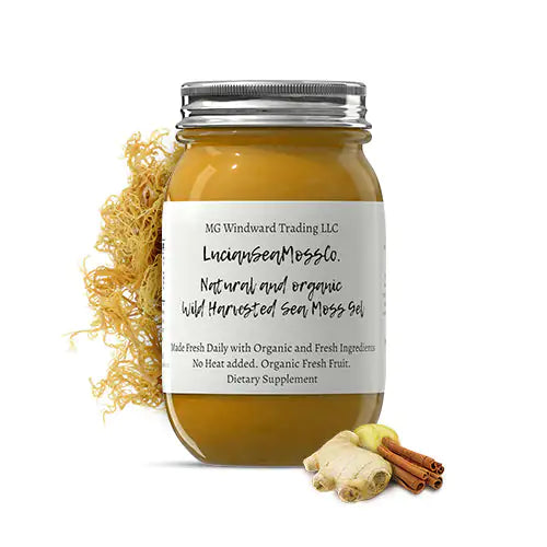 Organic Turmeric Infused Sea Moss Gel | Turmeric Cinnamon Ginger, or Turmeric Chai