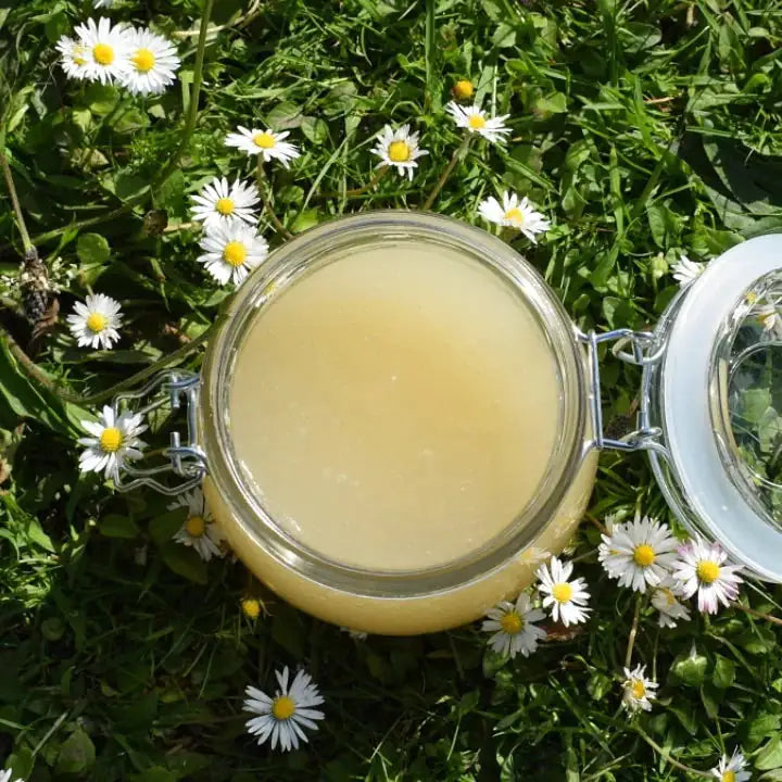 Chamomile Infused Organic Sea Moss Gel