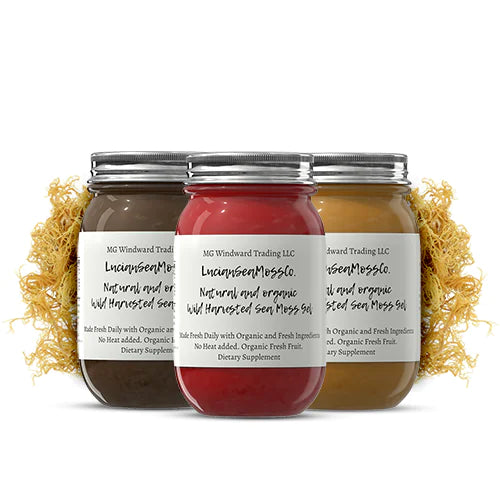 Organic MSM Infused Sea Moss Gel