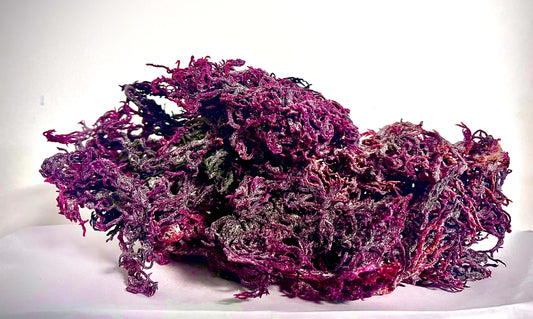 Wild Harvested Certified Raw Sea Moss | Purple, Green, and Full Spectrum